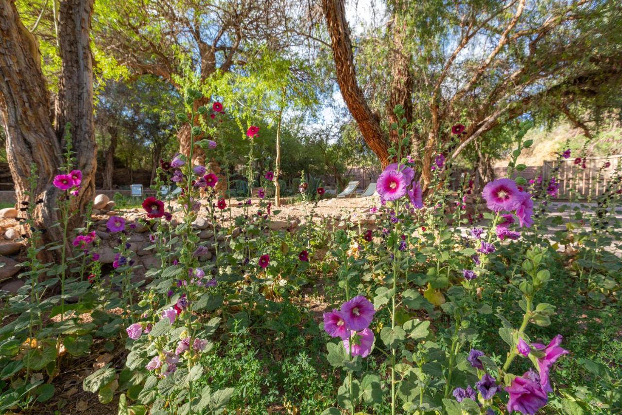 Casa Solcor Boutique Bed & Breakfast San Pedro de Atacama Ngoại thất bức ảnh